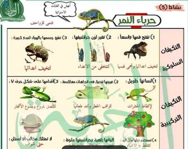  المهام الادائية في مادة العلوم للصف الرابع الابتدائي الترم الاول أ/ جميلة الصعيدي Scree173