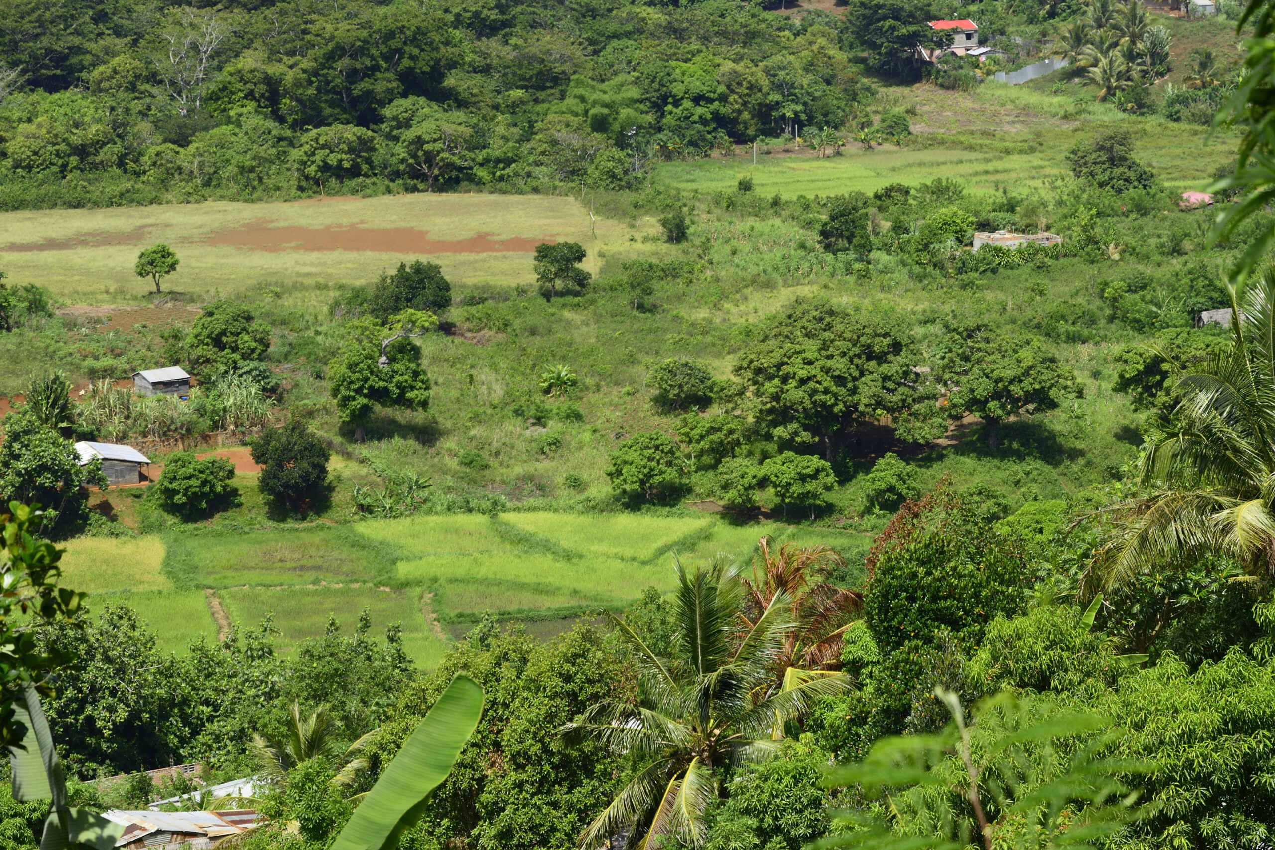 Carnet de voyage: 3 semaines dans le nord de Madagascar _dsc0412