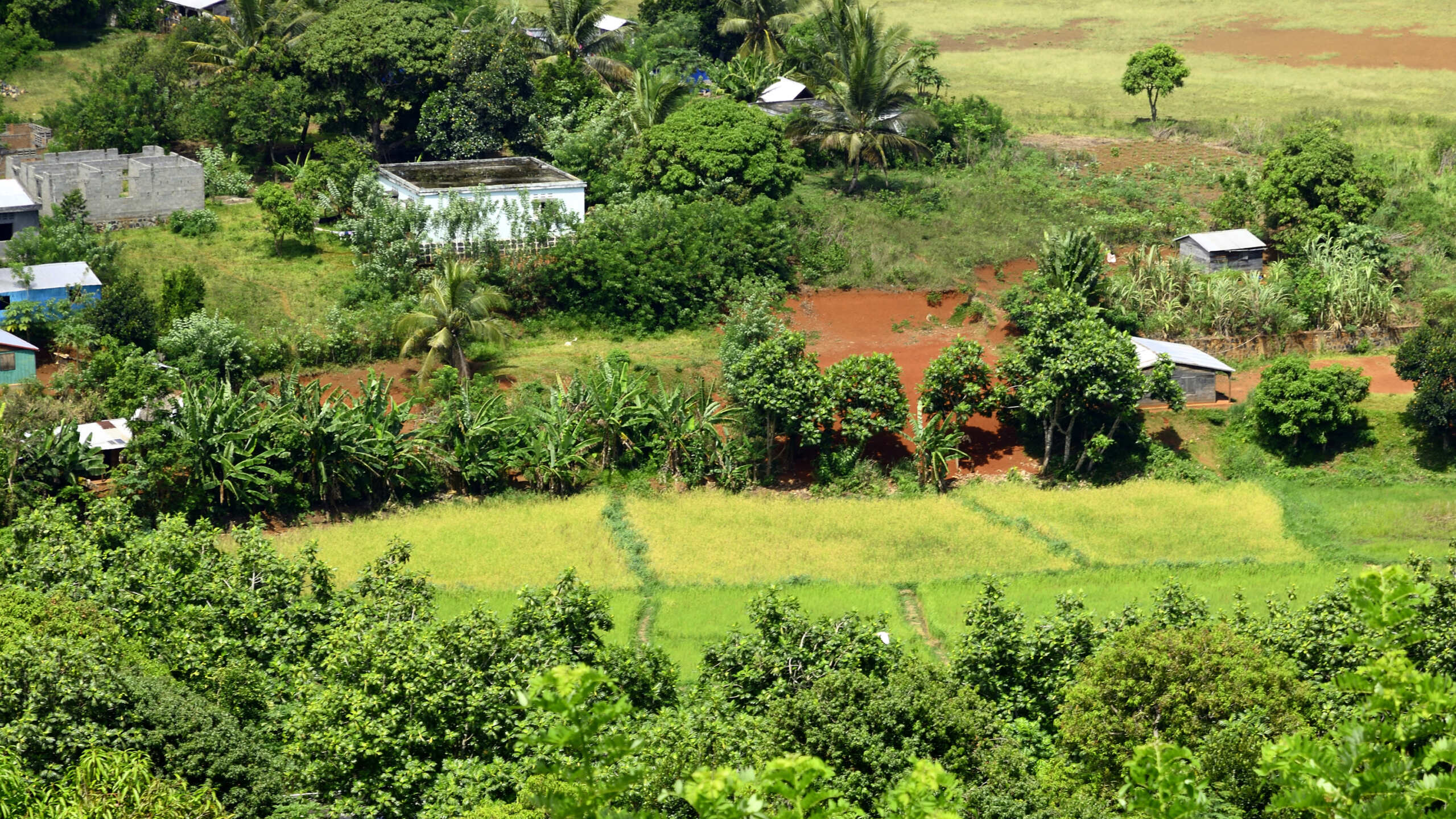 Carnet de voyage: 3 semaines dans le nord de Madagascar _dsc0520