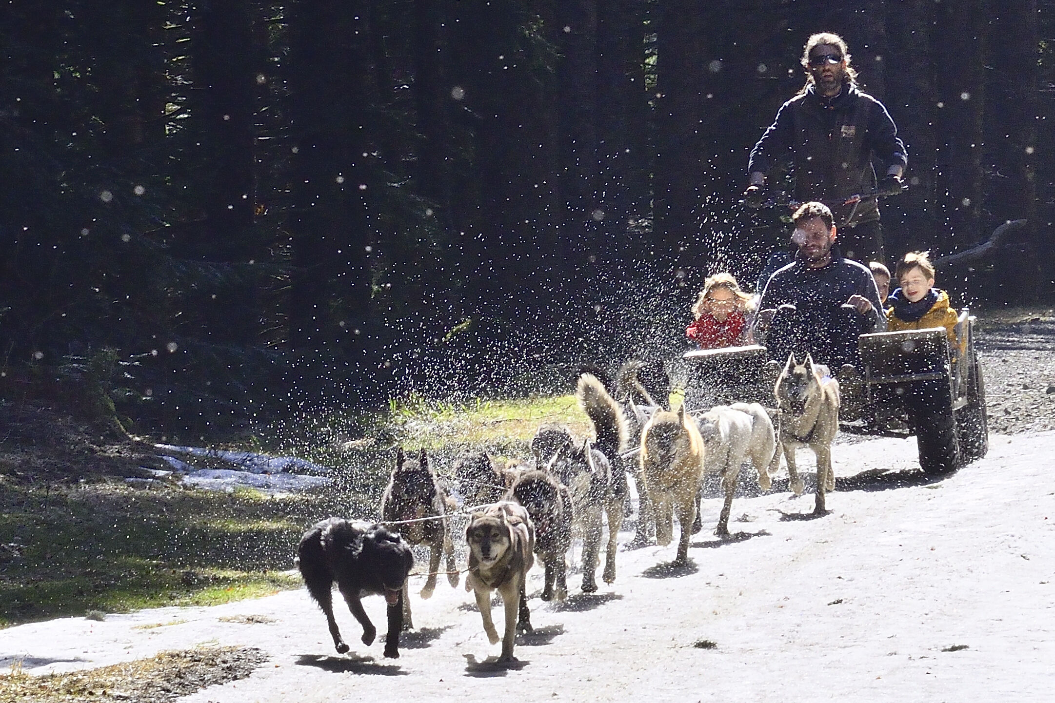 Concours photo février 2024 : Ça roule, ma poule _dsc0623