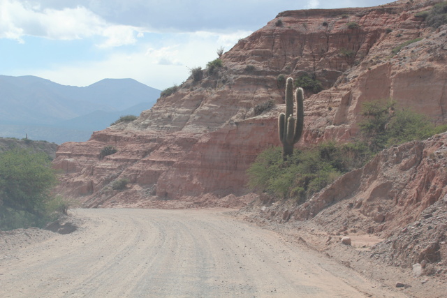 Roadtrip en Argentine et au Chili 1_118710