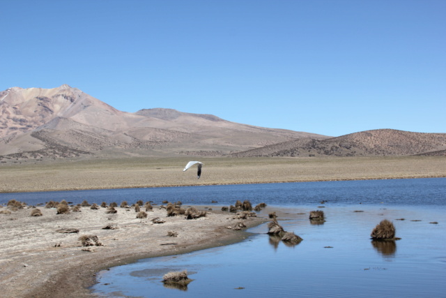 Voyage solitaire en Bolivie Img_0937