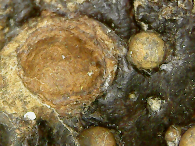 Метеорит с Черноморского  побе S2023122