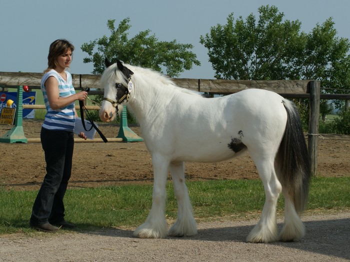 Mes photos du concours GCS au Vallon - suite p2 Dsc09629