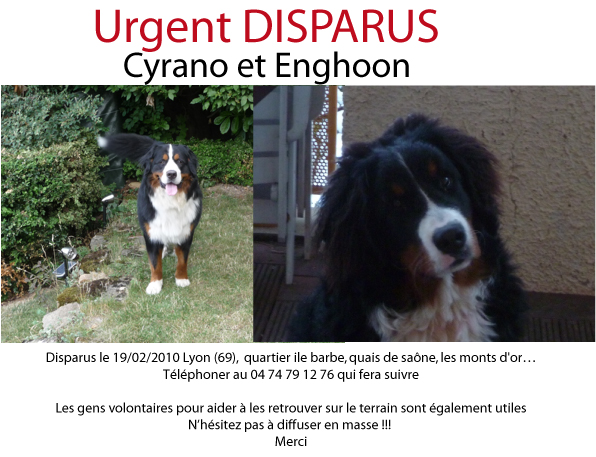 [retrouvée Enghoon]Disparition de 2 B. Bernois à Lyon - Page 4 Image012