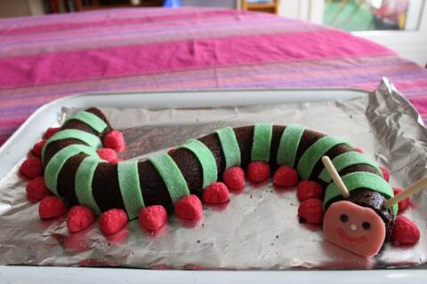 Chenille Chenille