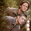 Icons Via Internet [SN Only] - Page 10 Spn-su25