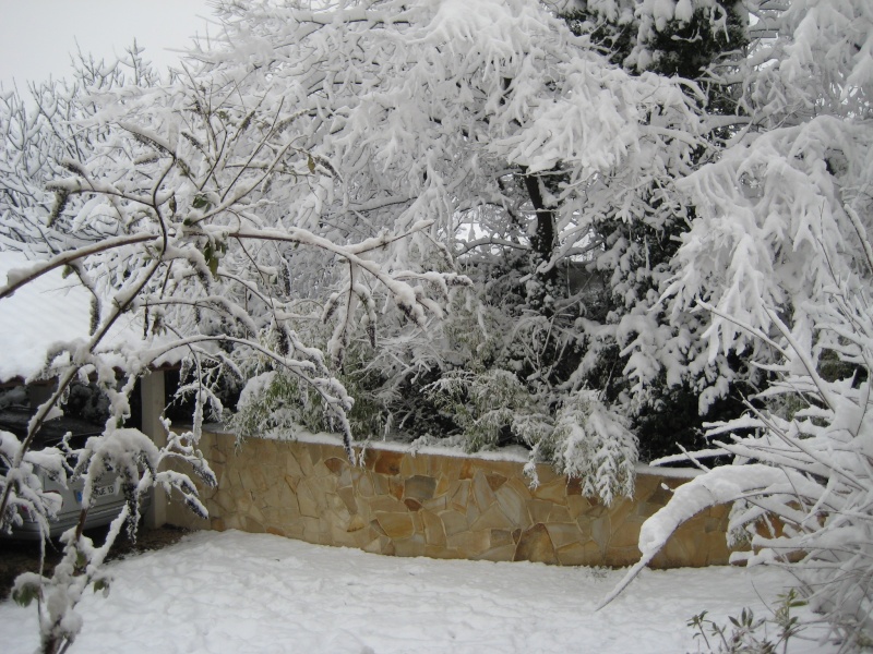 [photos] neige a marseille !!! Photo_10
