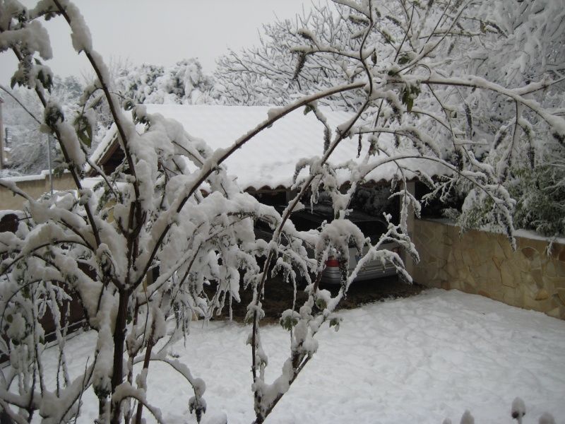 [photos] neige a marseille !!! Photo_13