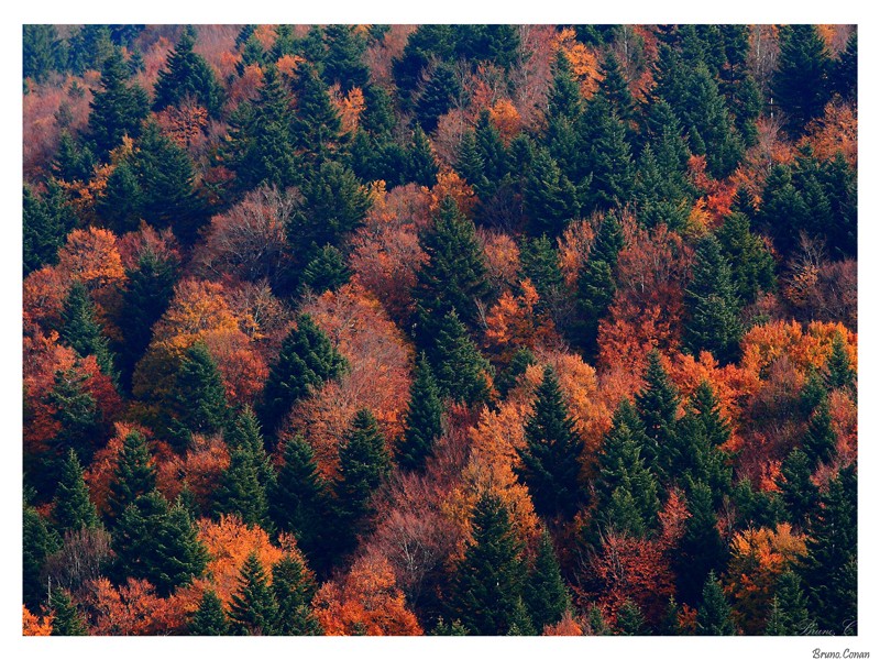 Automne en haute Loire 001_co10