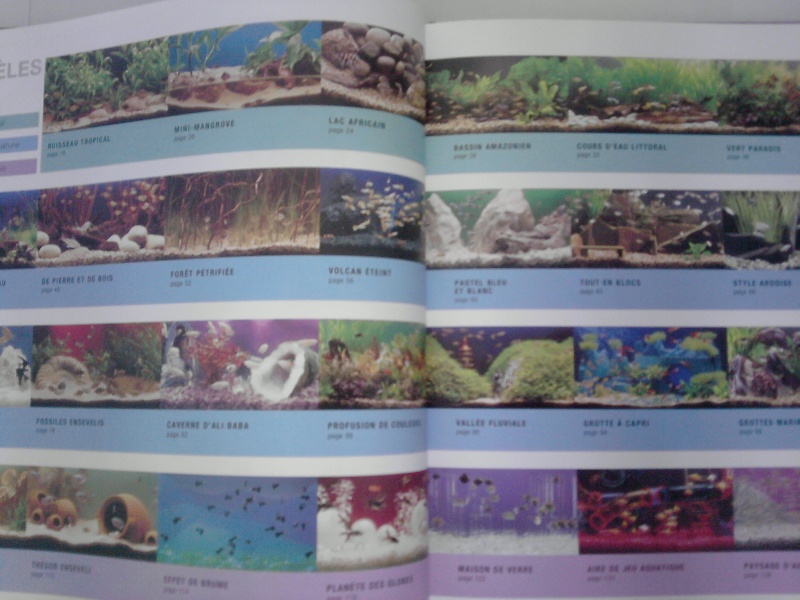 Aquarium Design Aquari11
