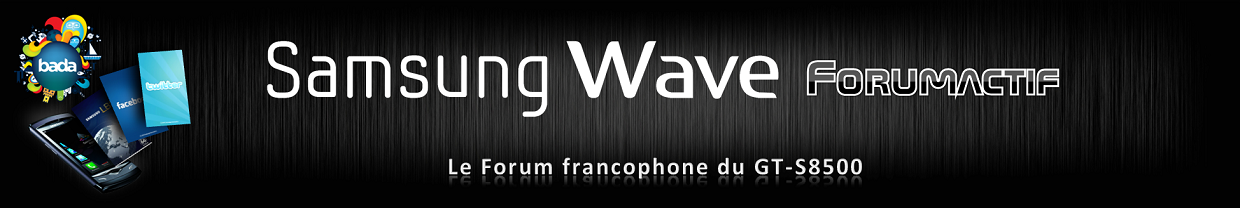 Samsung Wave s8500 - Portail Bannia10