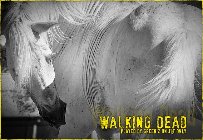 Walking Dead Walkin11