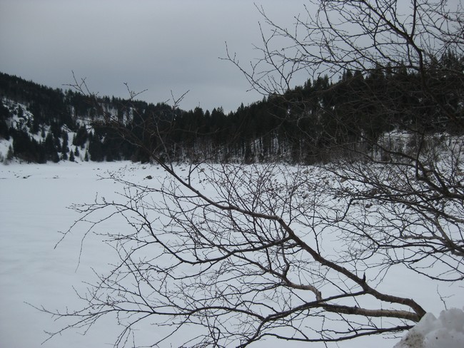 derniére photos de neige Vos210