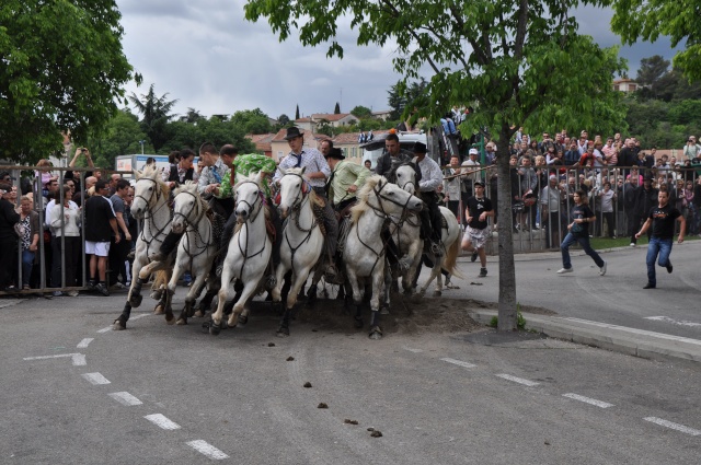 Alès 13 mai 2010 13_05_10