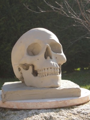 Crâne ( marbre ), pas à pas. - Page 2 Crane110