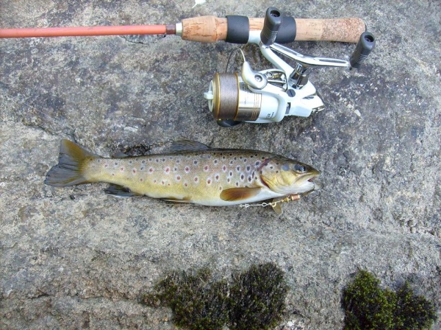 Séjour dans le cantal Truyar21