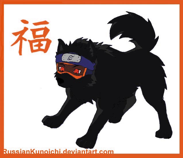 Les toutous chiens Obito_10