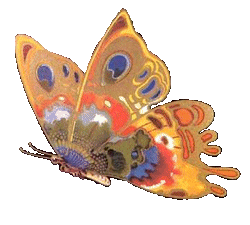 Tubes papillons Papill17