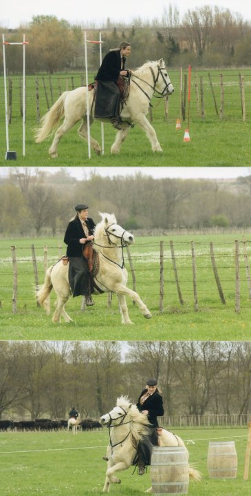 Concours équitation Camargue - Page 2 25812_15