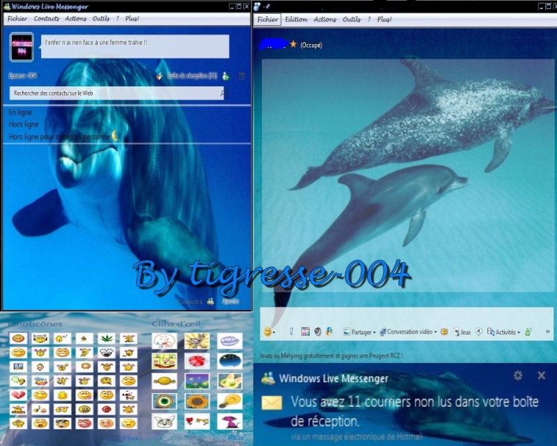 Skin Plus ! Dauphins 2011 [tigresse] Skin_p14