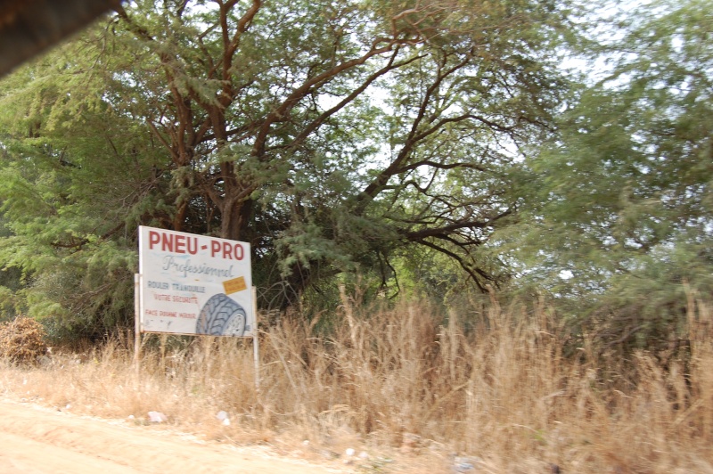  - Sénégal, Mbour, journée du 27 décembre 2008 Sanag211