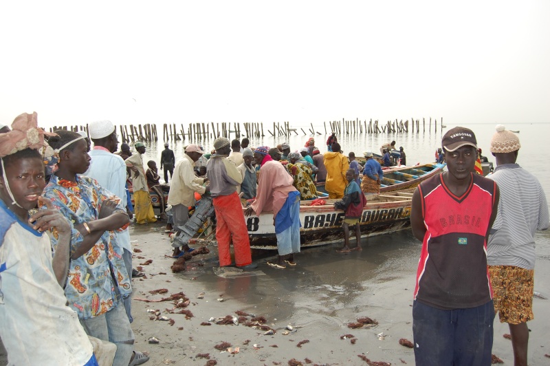 Sénégal, Mbour, 24 et 25 décembre 2008 Sanaga28