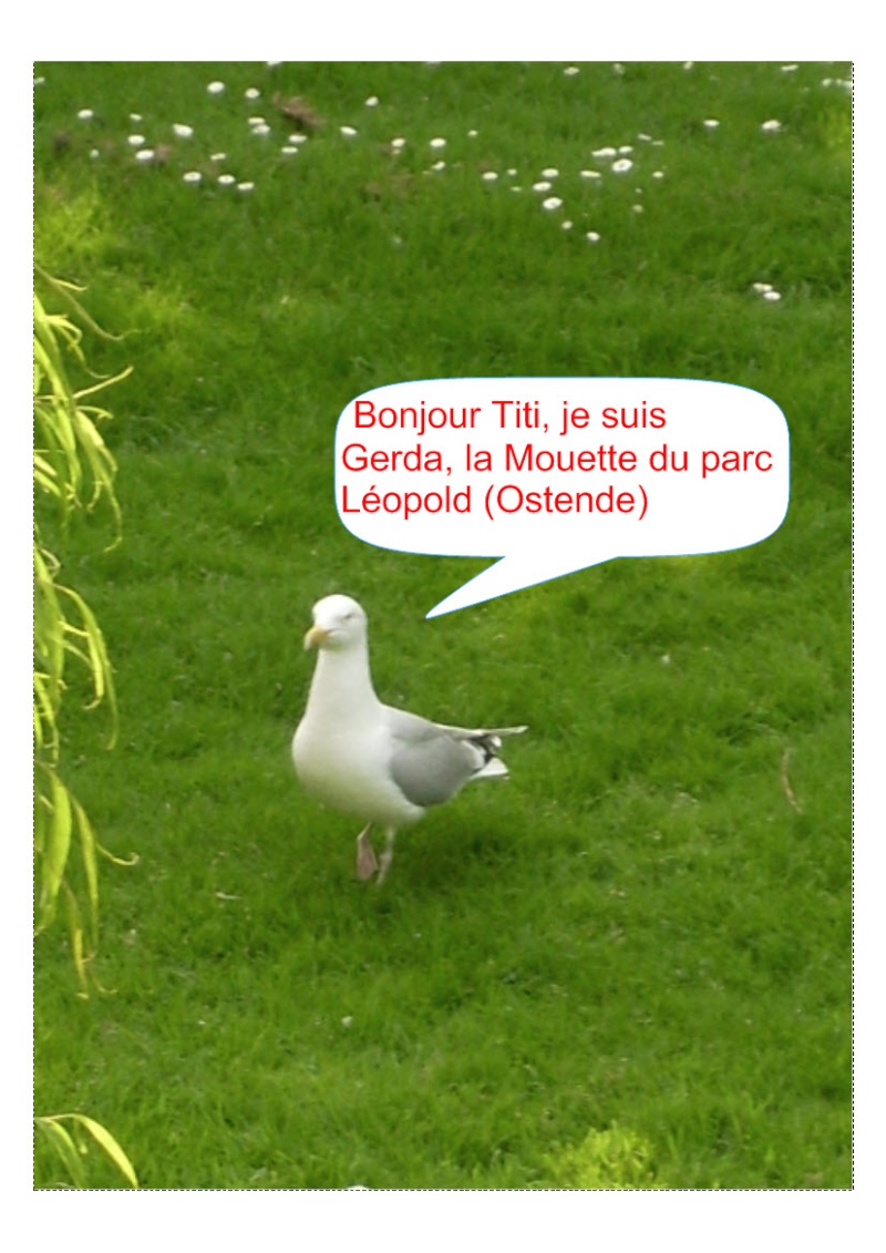 Ma retraite dans le Gers (par TITI) - Page 30 Montag10