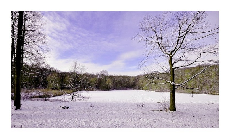 Paysages de neige Dsc_3511