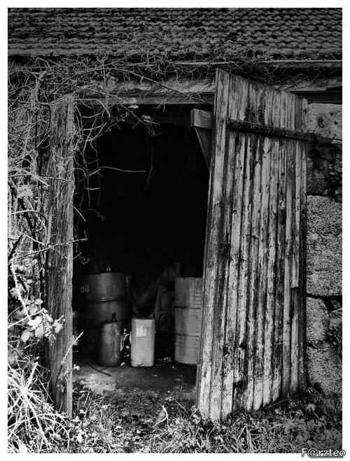 Vendredi à la ferme P1030722