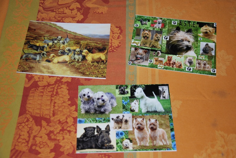 Cartes postales Dsc_0151