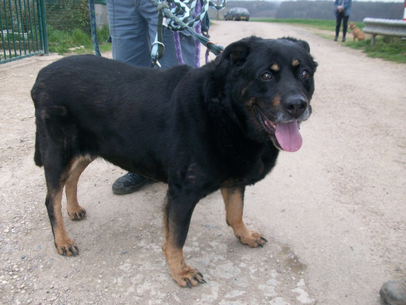 Urgence à cause de son âge Canonique: MAY croisée Rott May_av16