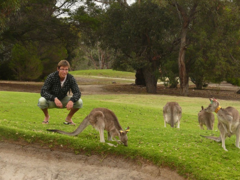 Un pti bonjour d'australie !! P1050910