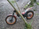 Petite sortie........... 05610
