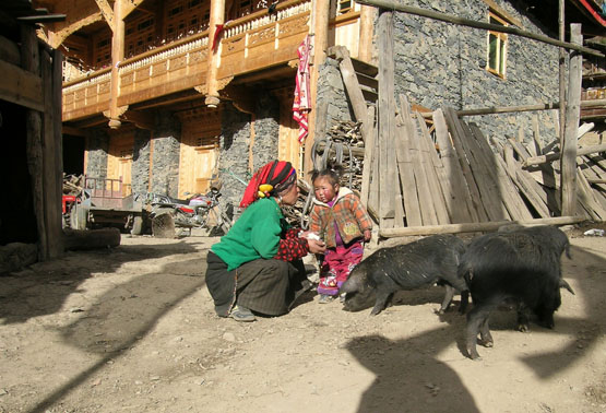 Noces tibétaines à Kalonggou Dscn4744
