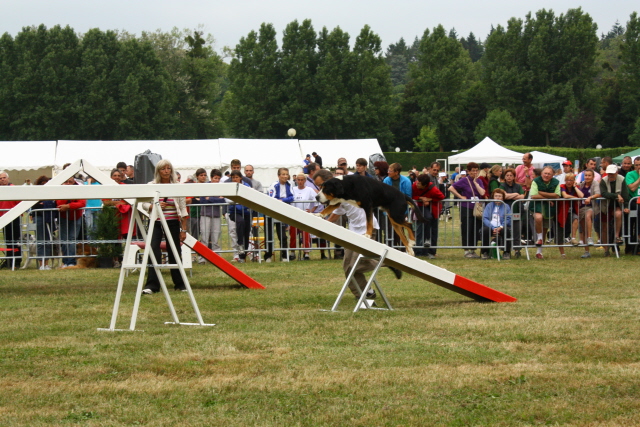 Championnat de France d'Agility Passer10