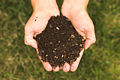 Distribution gratuite de compost à Frontignan 120px-10