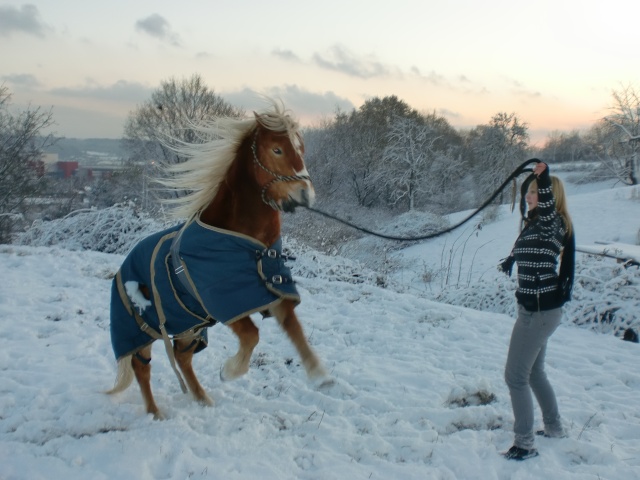Roxane et Omalley dans la neige Cimg1413