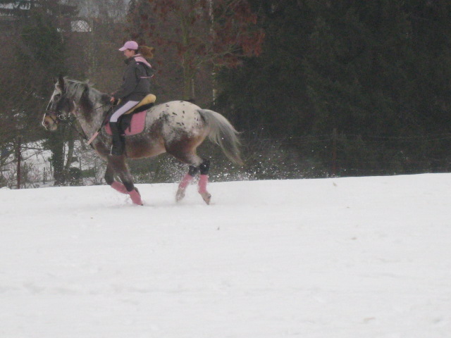 Balade dans la neige  Img_5249