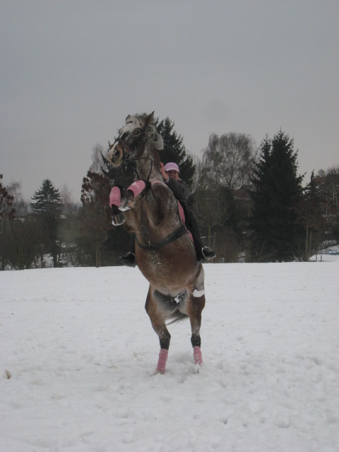 Balade dans la neige  Img_5254