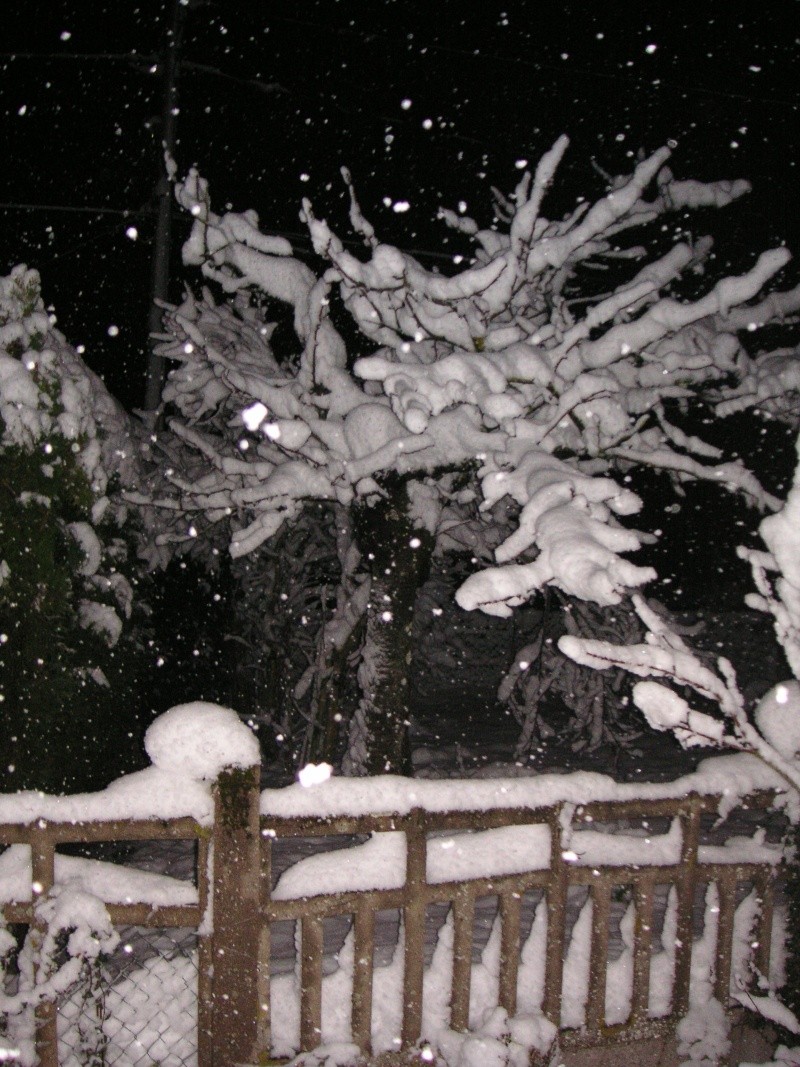 L'Orléanais sous la neige en novembre... Neige_10