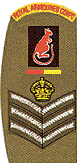 SSgt/CSgt SSgt/CSgt