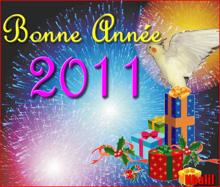 Tous mes voeux pour cette nouvelle année Bonnea14