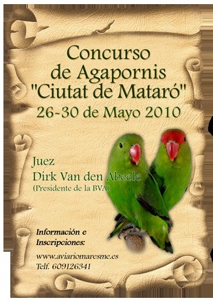 CONCURSO DE AGAPORNIS "CIUTAT DE MATARÓ" 2010 Poster11