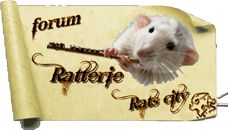 RCT. Rats city - Le paradis des rats