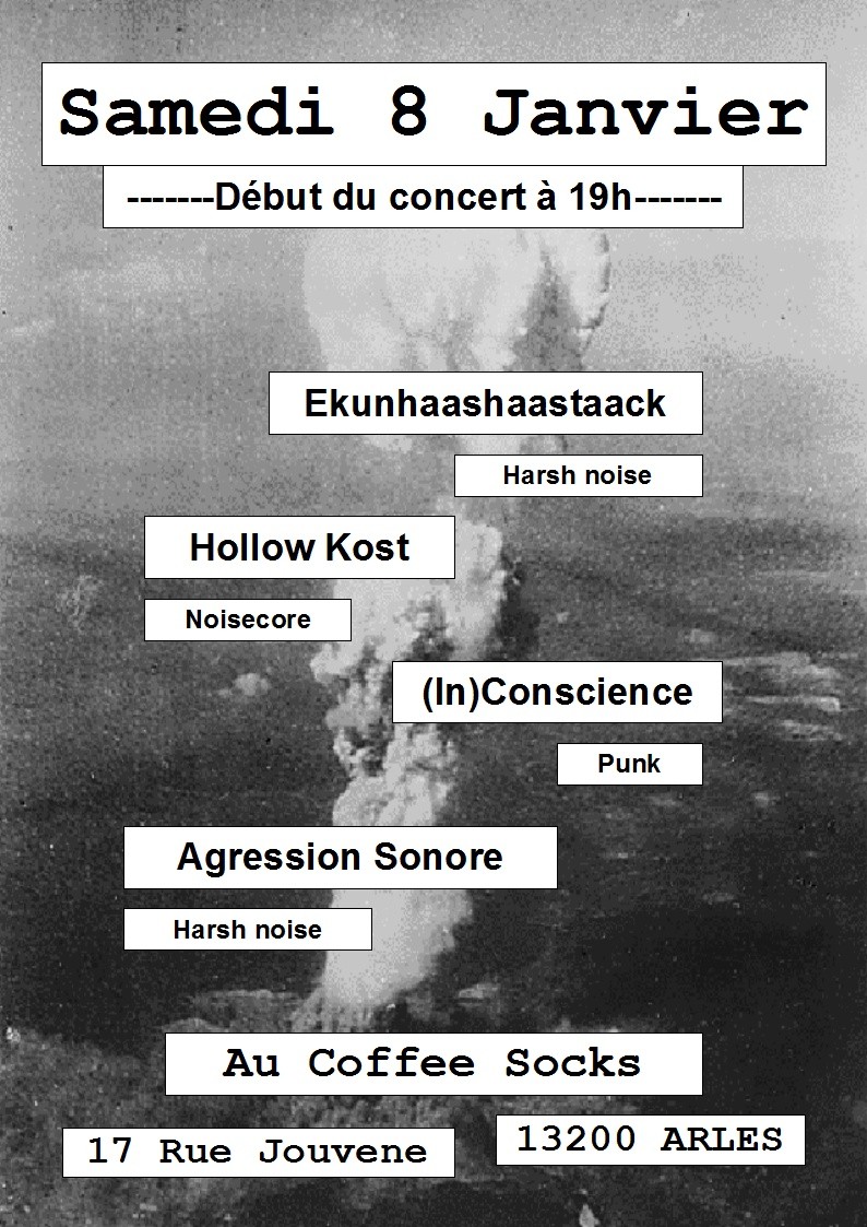 08/01/2011 : Concert Punk Hardcore Noise a Arles !  Conert10