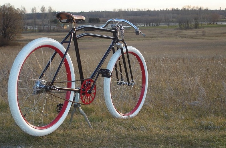 Vélocyclette Pictur11