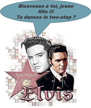 présentation Elvis210