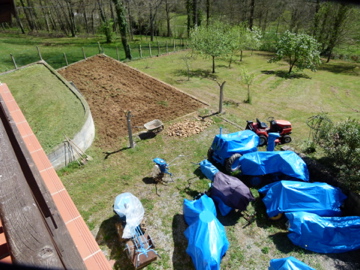 Mon jardin et mon écurie d'engins P1000313