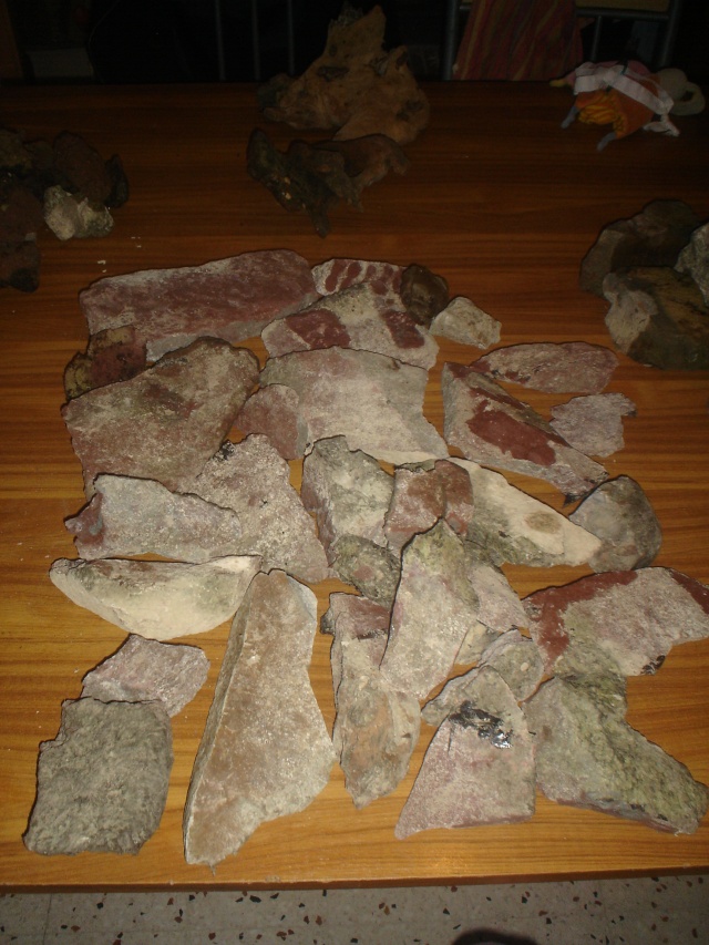 pierres et sol pour cichlidés Dsc08818